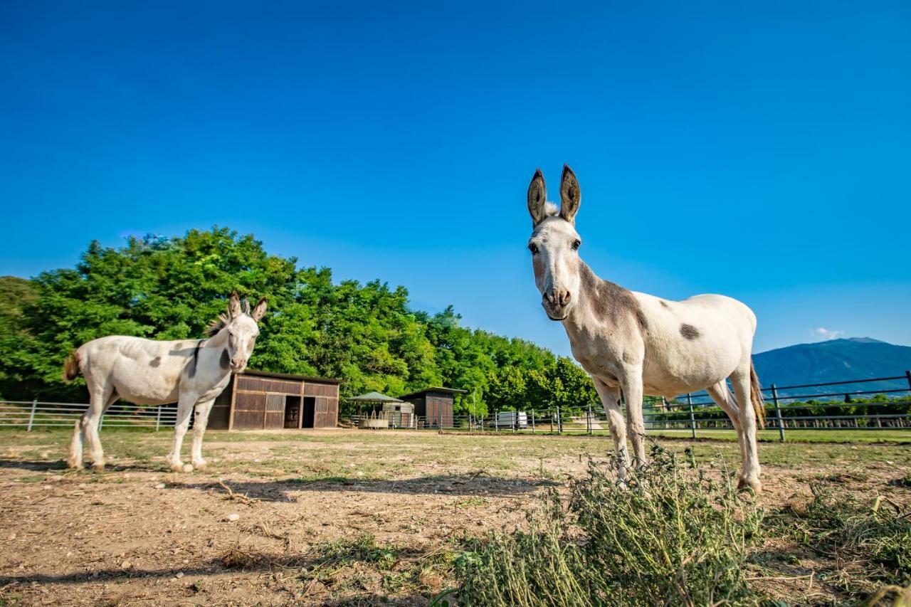 Agriturismo La Pertica Костермано Екстериор снимка